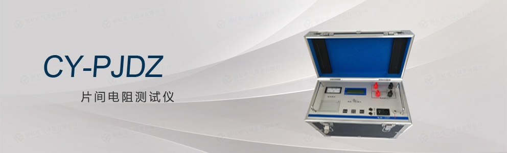CY-PJDZ 片間電阻測(cè)試儀
